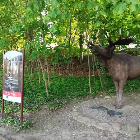 Apartament Moryńapartments Moryn