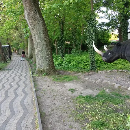 Morynapartments Appartement *