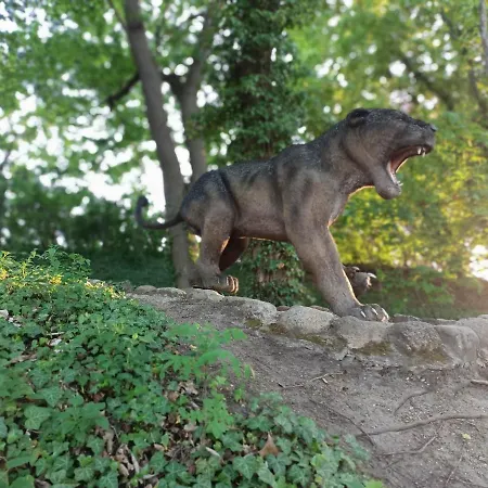 Moryńapartments Apartament