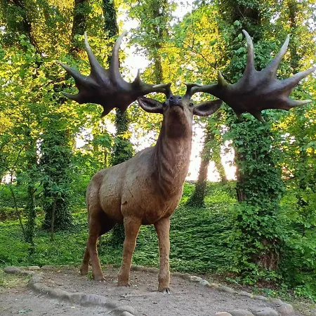 Apartament Moryńapartments *