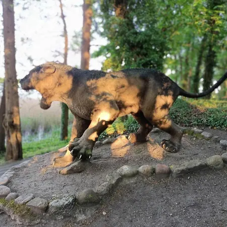 Moryńapartments * Moryn