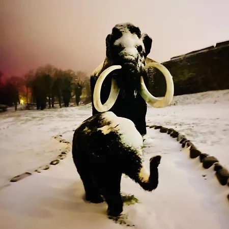 Apartament Moryńapartments *