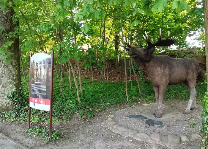 Διαμέρισμα Morynapartments Moryn