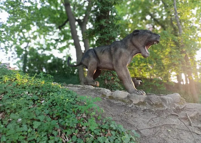 Morynapartments 公寓