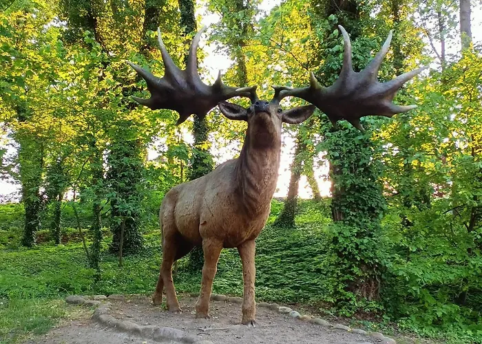 Апартаменты Morynapartments *