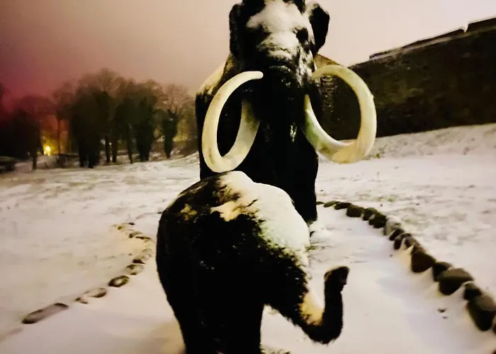 Apartamento Morynapartments *